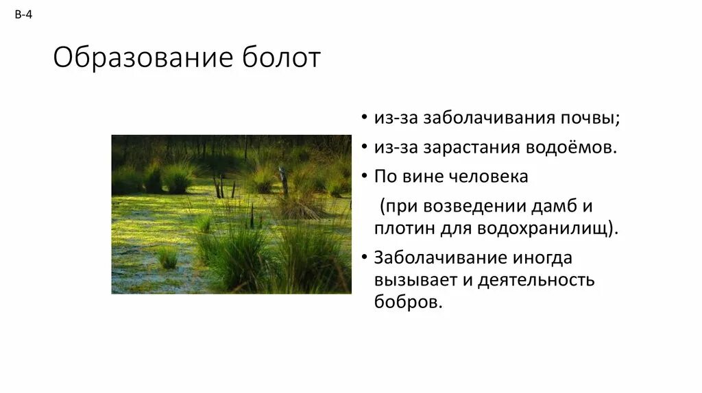 Какой состав болота. Заболачивание почв. Способы образования болота. Образование болот. Болота причины образования.