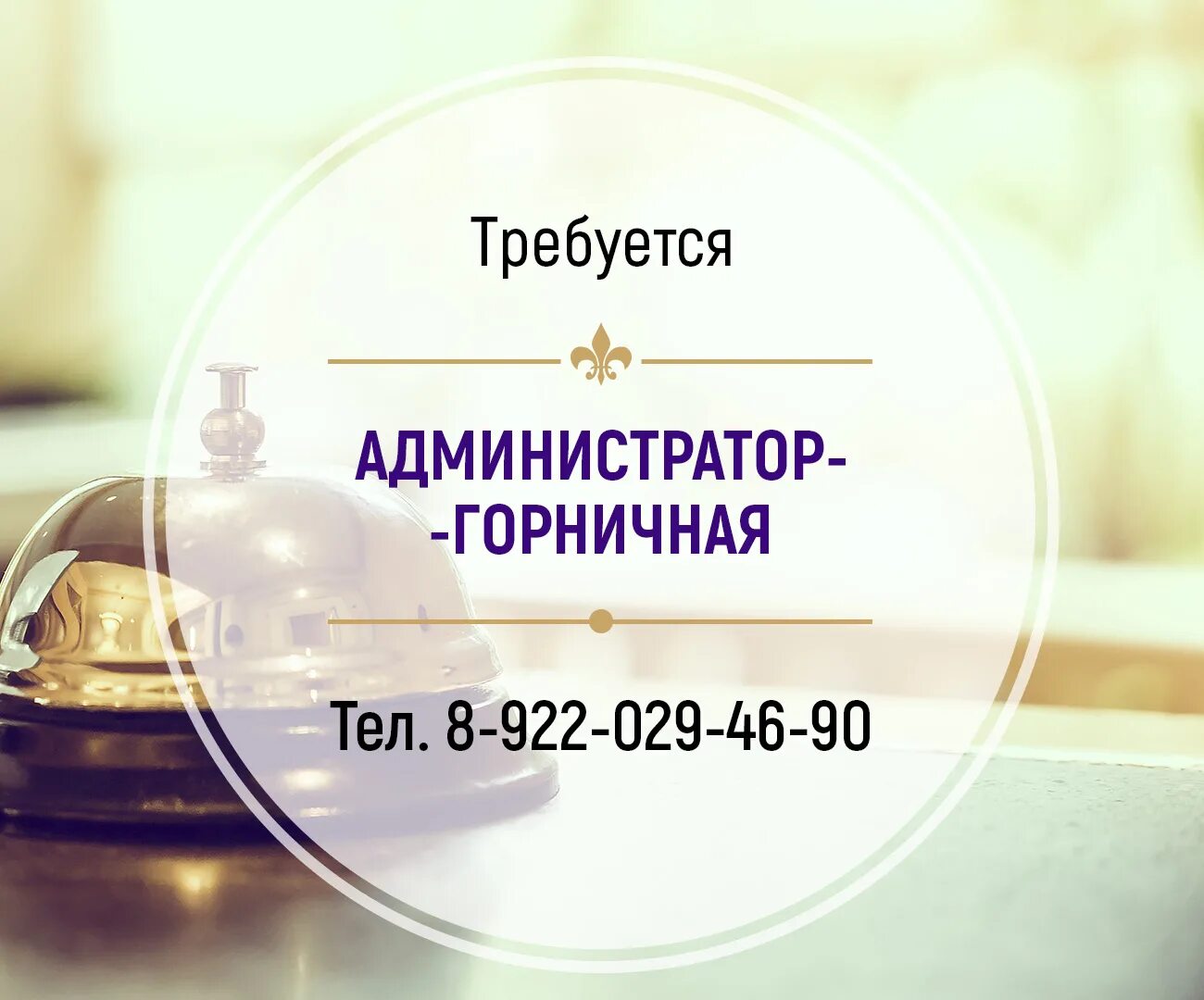 Горничная в гостинице. Ищем администратора в гостиницу. Администратор картинка. Требуется администратор в гостиницу. Требуется администратор в гостиницу.