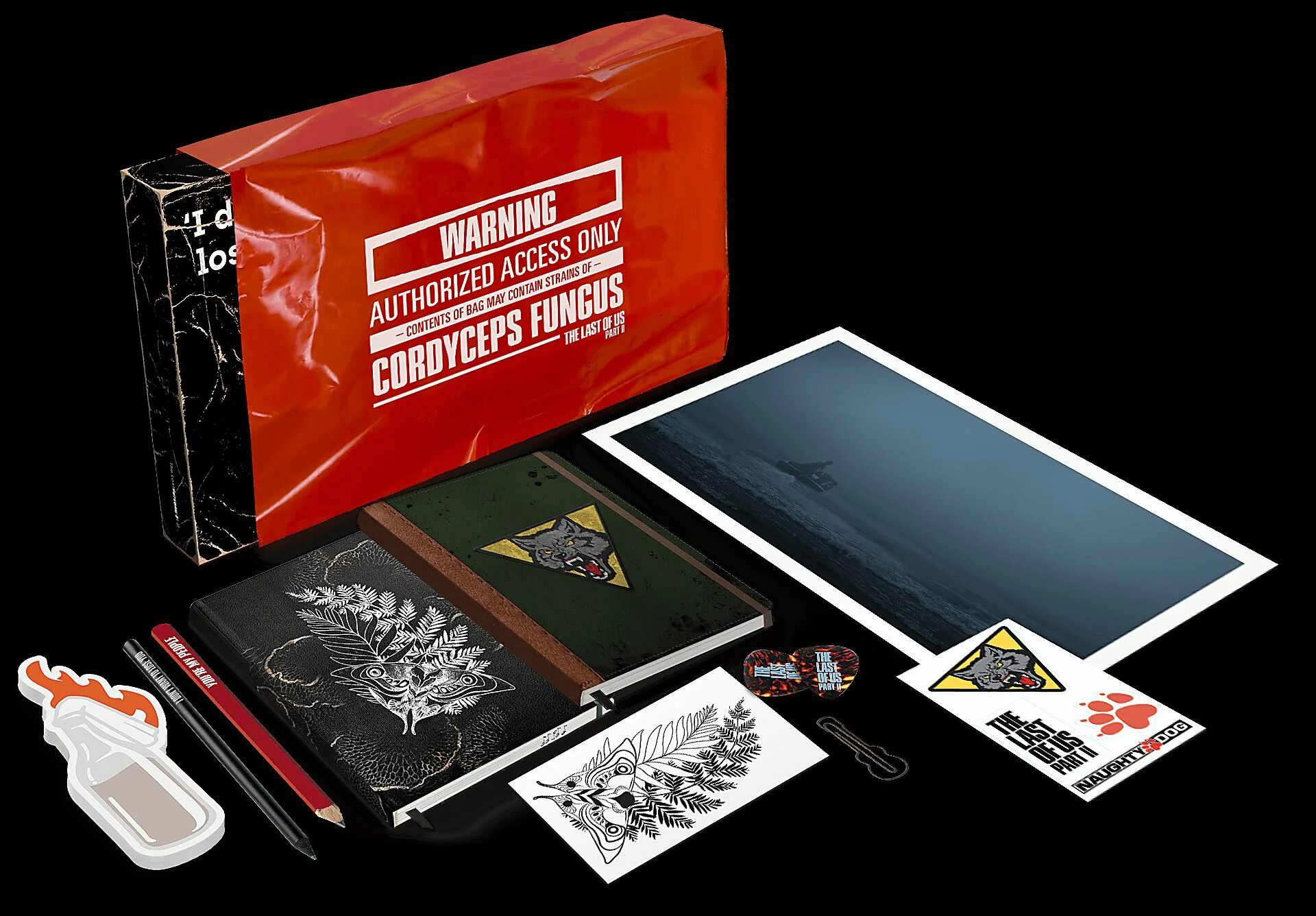 Last of us 2 box. The last of us 2 collectors edition.