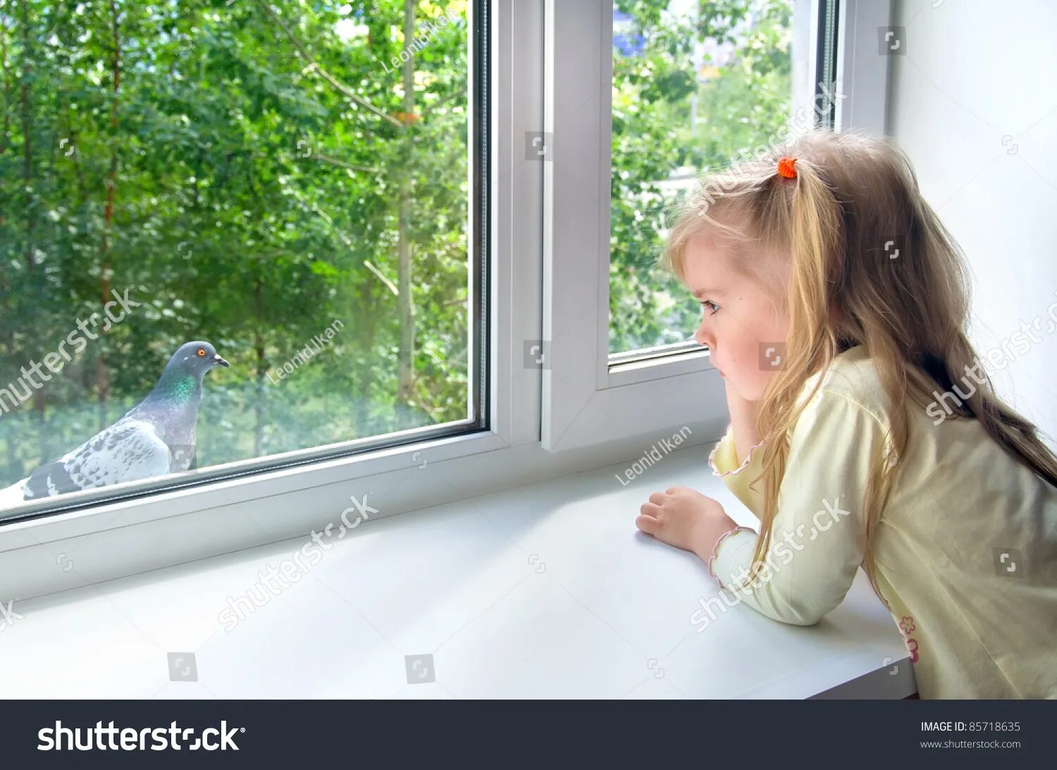 I see at the window