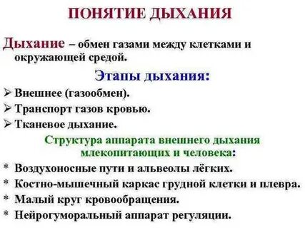 Термин дыхание