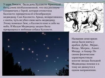 Похожим на медведиц