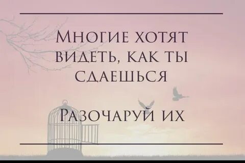 Непоколебимой 1