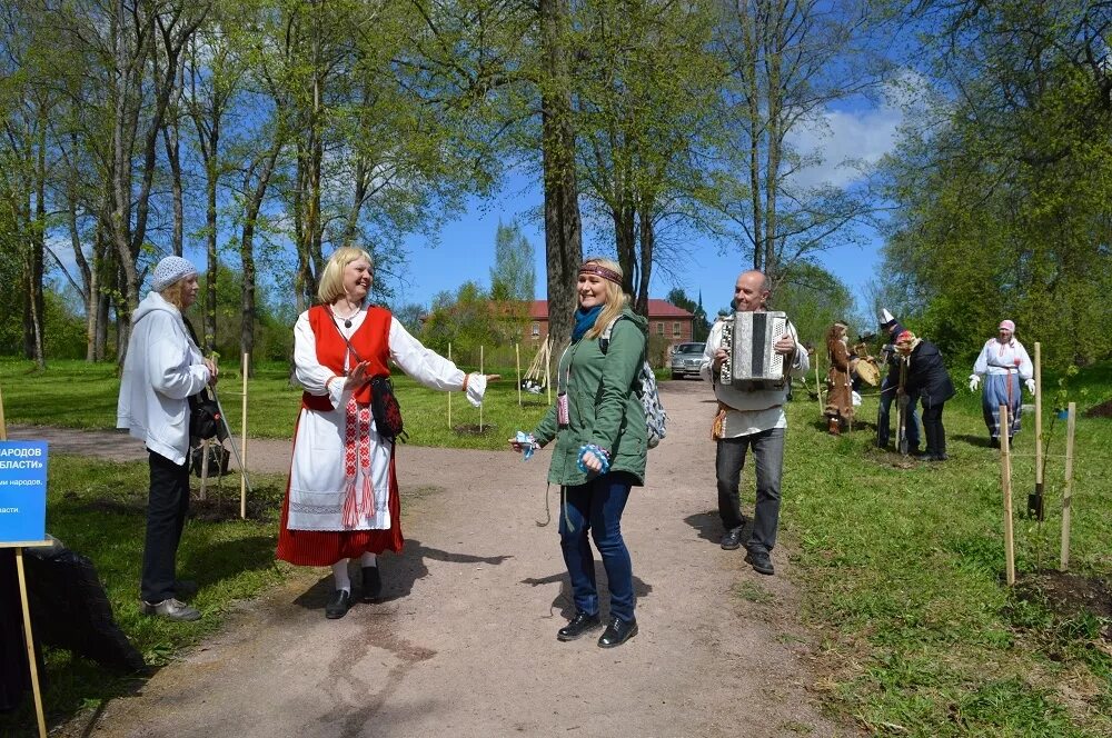 Погода в старой ладоге на неделю