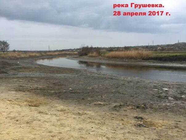 Грушевка абрамово огэ. Река грушевка ростовская область. река грушевка новочеркасск. река грушевка шахты. новочеркасск река грушевка загрязнение.