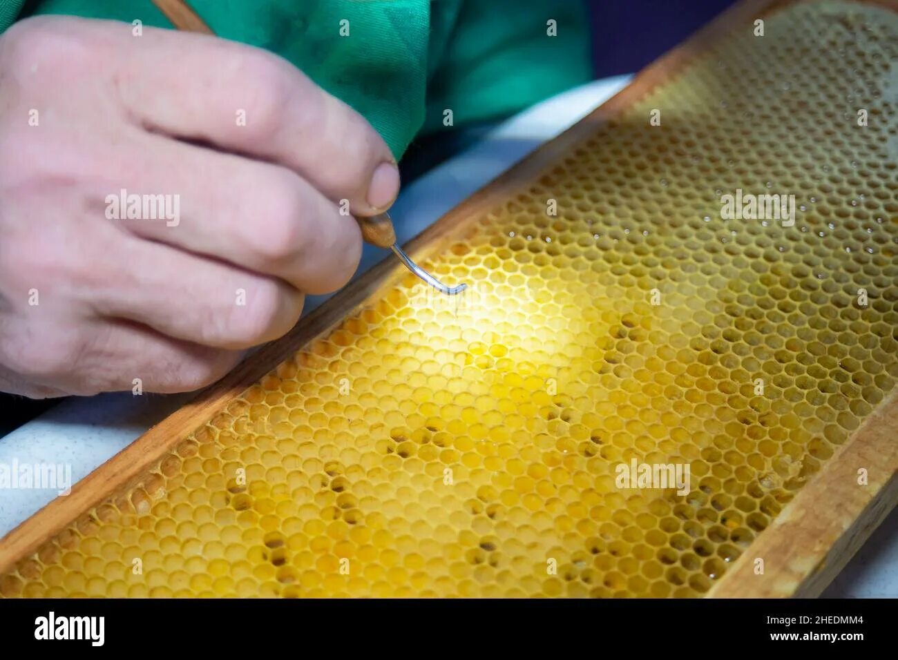 Bee open