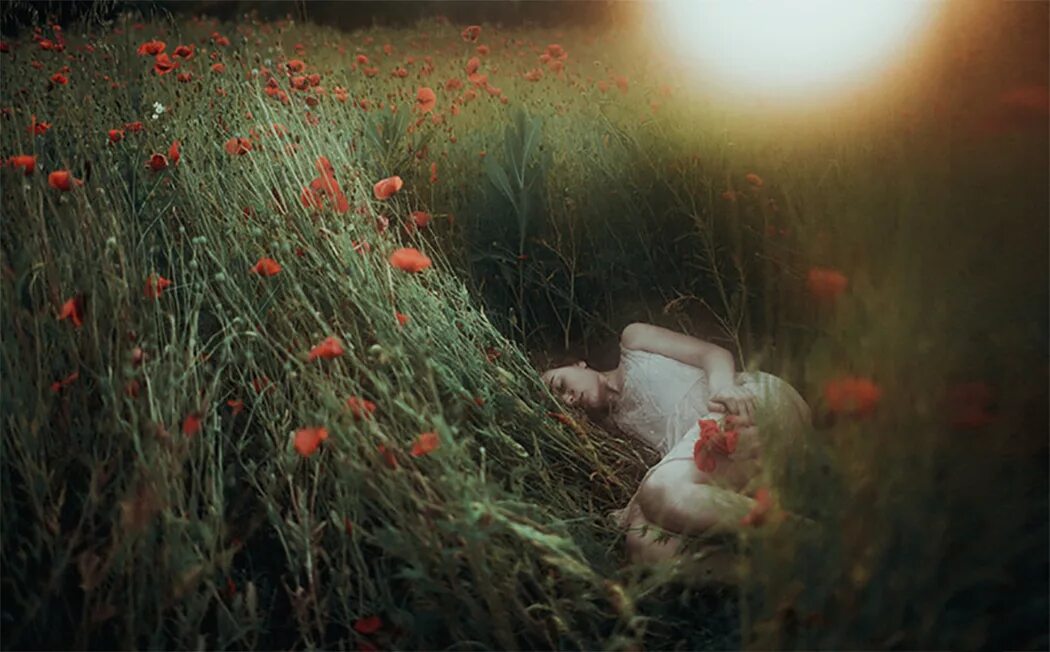 Утренняя благодать. Кровать в поле фотосессия. Ведьмак 3 дерево висильница. Сонное поле. Сонное поле.