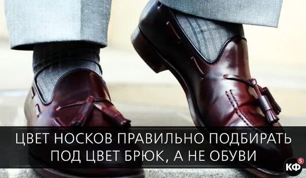 Цитата сапоги. Обувь юмор. Афоризмы про обувь. Высказывания про обувь. Ботинки прикол.