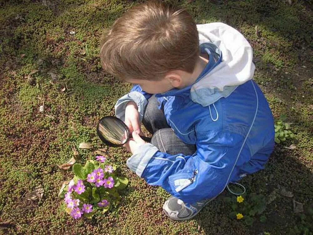 Ознакомление с окружающим миром цветы. Наблюдение детей за природой. Дети и природа. Дети наблюдают за природой. Изучение природы.