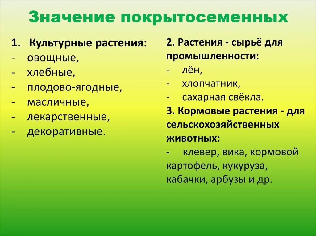 Какое значение покрытосеменных