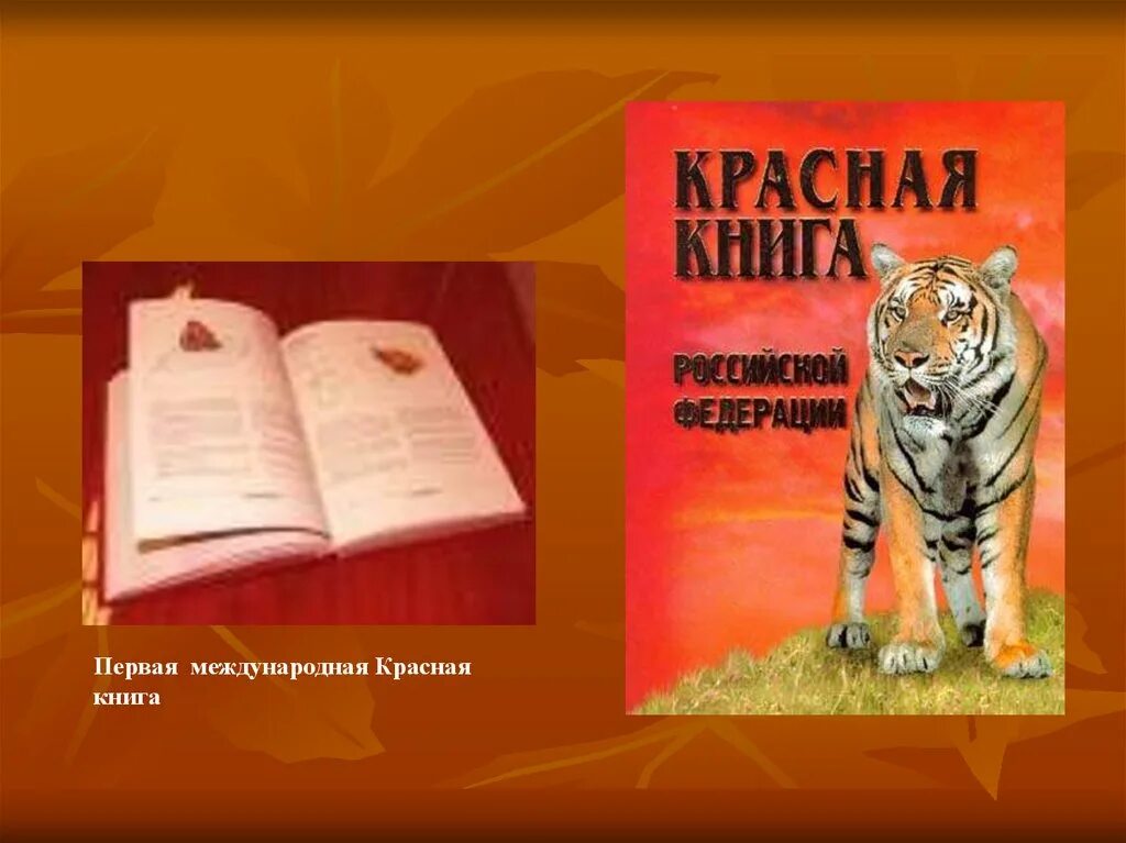 Красная книга о том. Международная красная книга. Красная книга России. Международная красная книга обложка. Красная книга Международная красная книга.