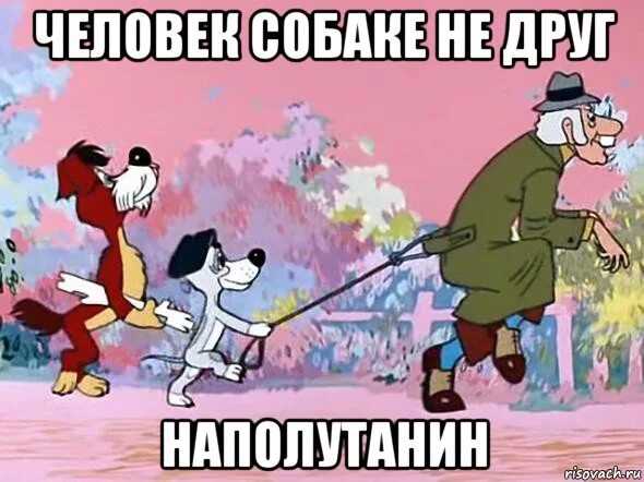 Сам ты пес мем. Злой барбос. Парень с собакой. Мужицкий у тебя собака. Человек с собакой.