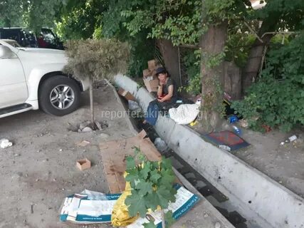 Бак жив