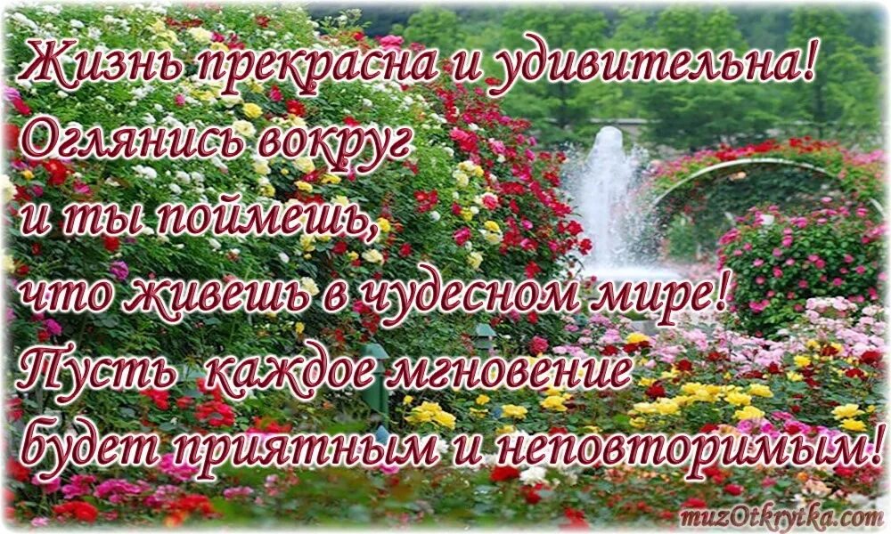 Жизнь прекрасна и неповторима. Жизнь прекрасна. открытки жизнь прекрасна и удивительна. жизнь прекрасна и удивительна. жизнь прекрасна и удивительна цитаты.