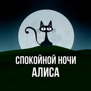 Алиса включи ночь