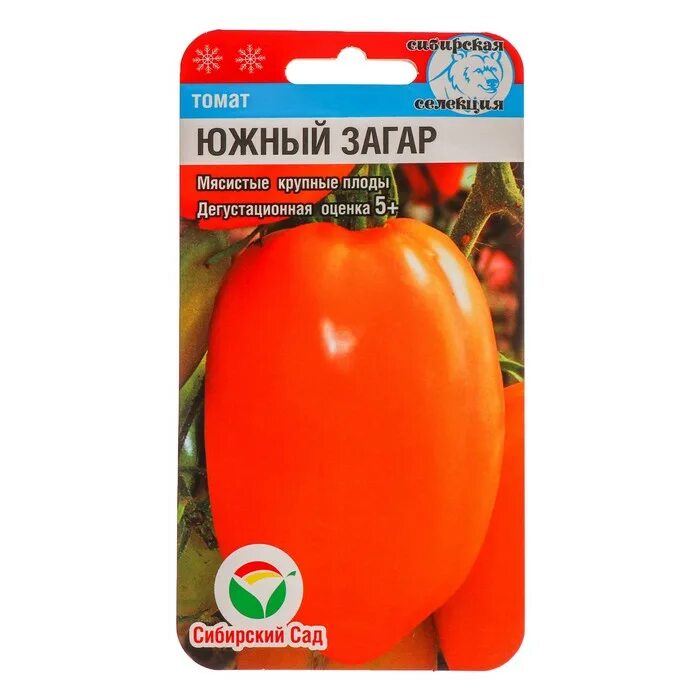 Помидоры сорта южный загар. Томат южный загар сибирский сад. сорт помидоров южный загар. томат южный загар сибирская селекция. сибсад южный загар.