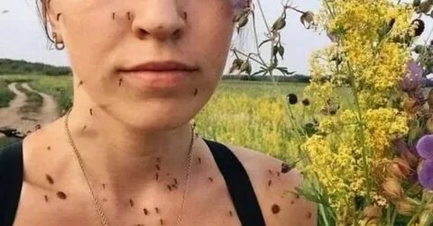 Комары в бочке