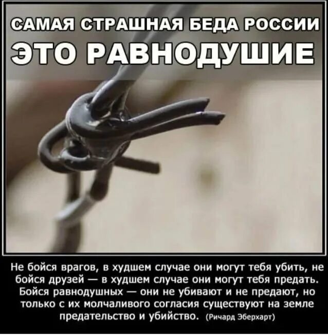 Убитых не убьешь цитаты. Равнодушие страшное оружие. бойтесь людей равнодушных цитата. высказывание бойтесь равнодушных. самое страшное это безразличие цитаты.