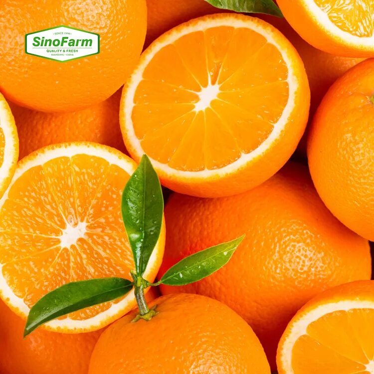Почему мандарин оранжевый. Апельсин. Апельсин на белом фоне. Апельсин картинка. Апельсин фрукт.
