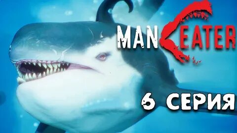 Shark playlist