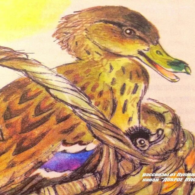 Михаил пришвин изобретатель иллюстрации. Изобретатель пришвин иллюстрации. М м пришвин изобретатель. Изобретатель пришвин иллюстрации. Михаил пришвин изобретатель.