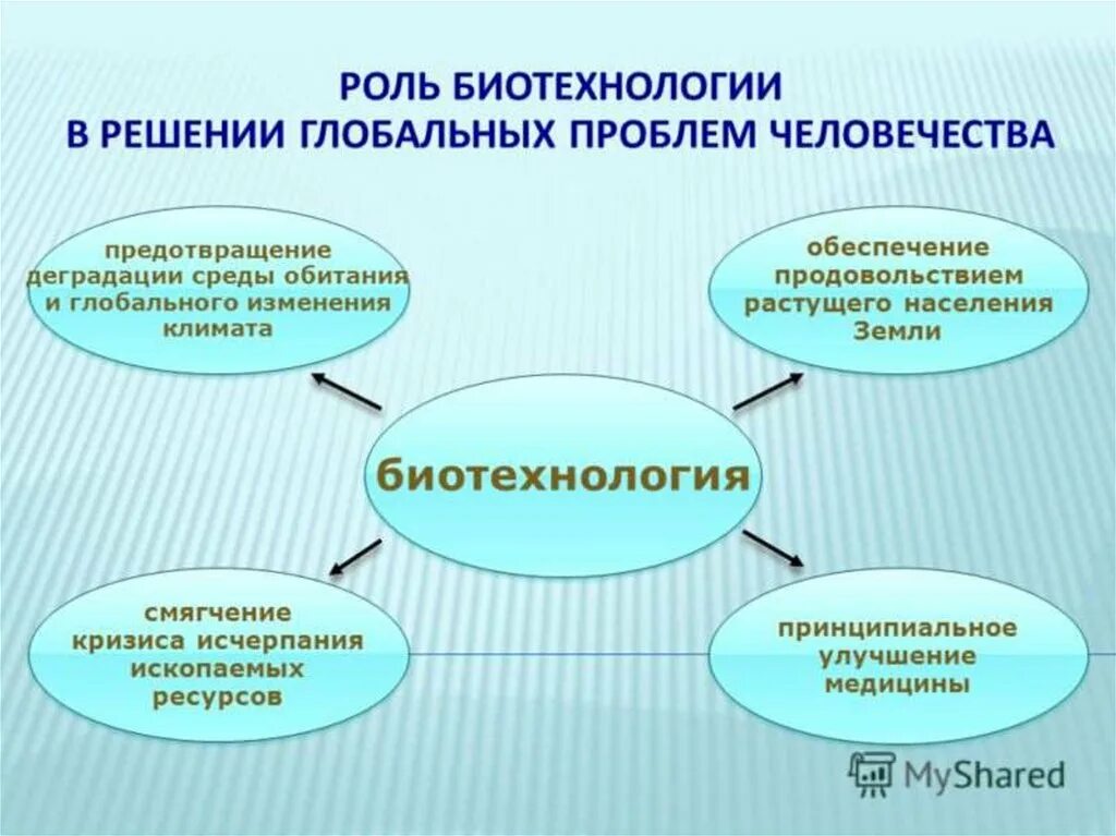 Современные достижения биотехнологии. Биотехнология презентация. Презентация по биотехнологии. Роль биотехнологии в жизни человека. " Биотехнология " — презинтация.