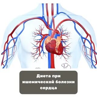 Питание при ибс