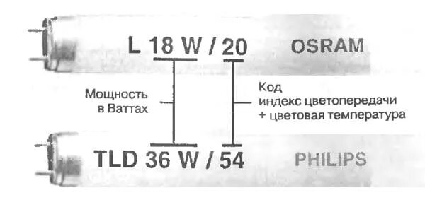Маркировка люминесцентных ламп. Маркировка люминесцентных ламп philips. маркировка люминесцентных ламп osram расшифровка. маркировка ламп люминесцентных филипс. маркировка люминесцентных ламп osram.
