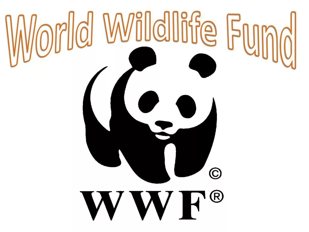 Всемирный фонд дикой природы WWF России. ВВФ фонд дикой природы. Эмблема WWF Всемирного фонда дикой природы. Панда WWF.