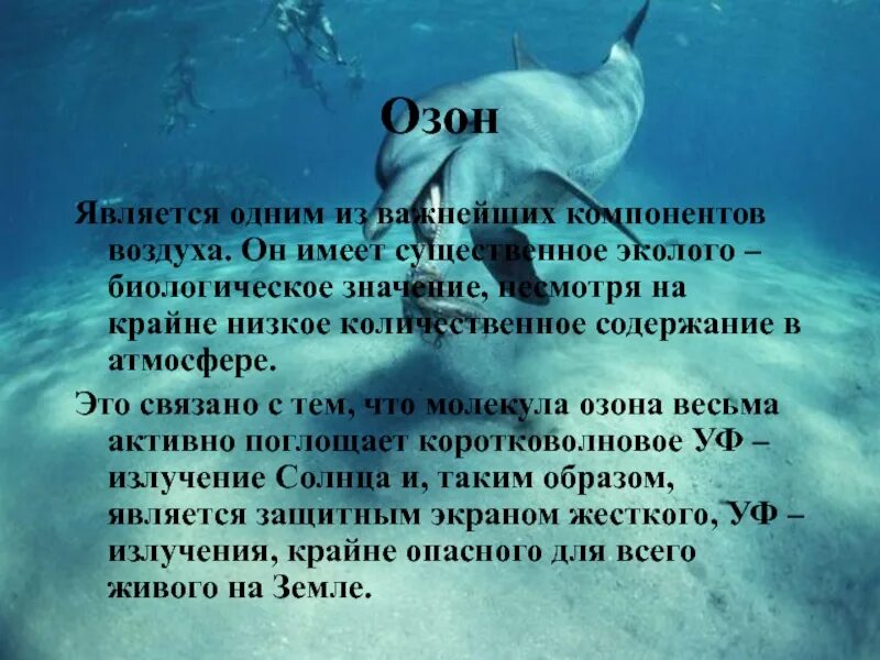 Какое значение озона. Биологическая роль озона. роль озона в природе. экологическая роль озона. биологическое значение озона.
