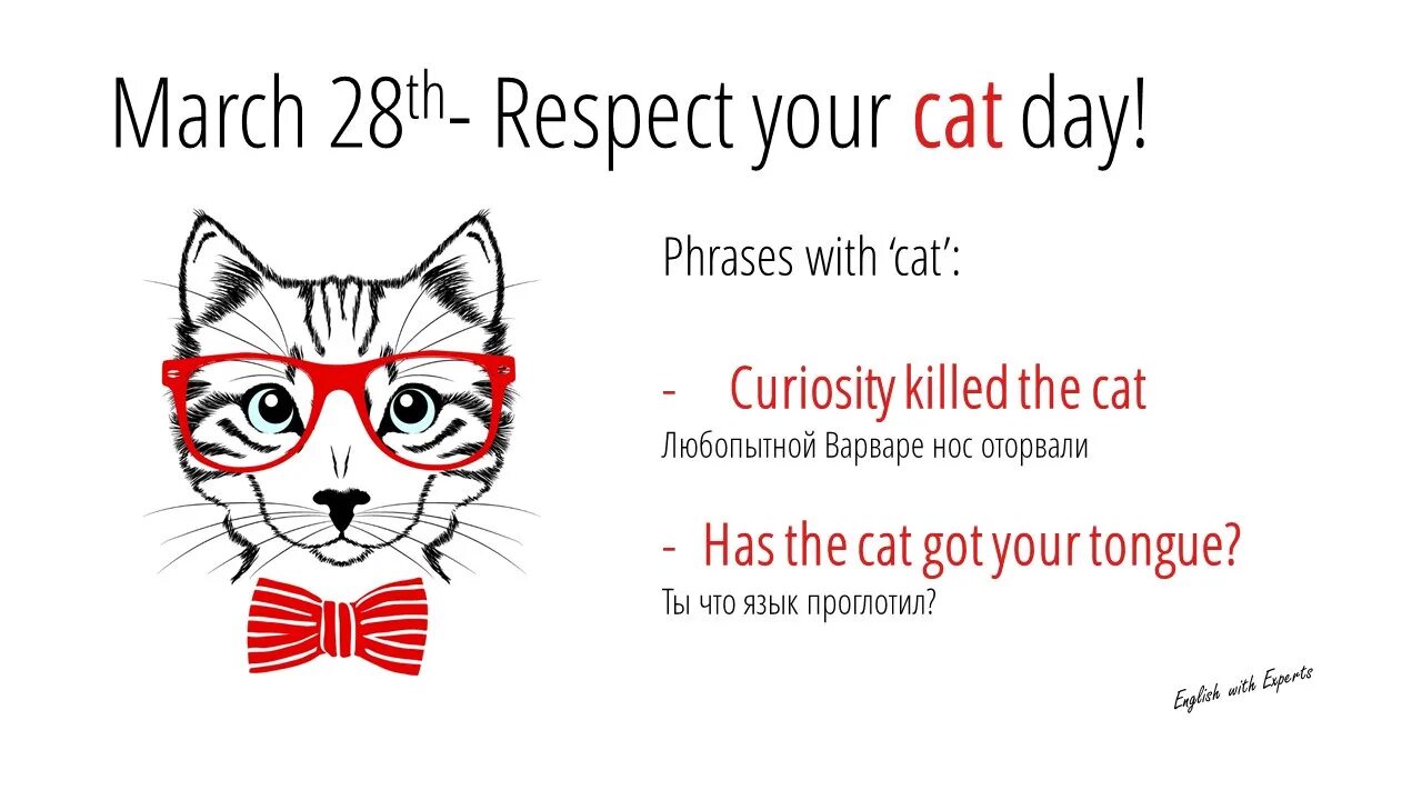Уважение кошки. День уважения кошки. Всемирный день уважения кошек. Праздник день уважения кошки.