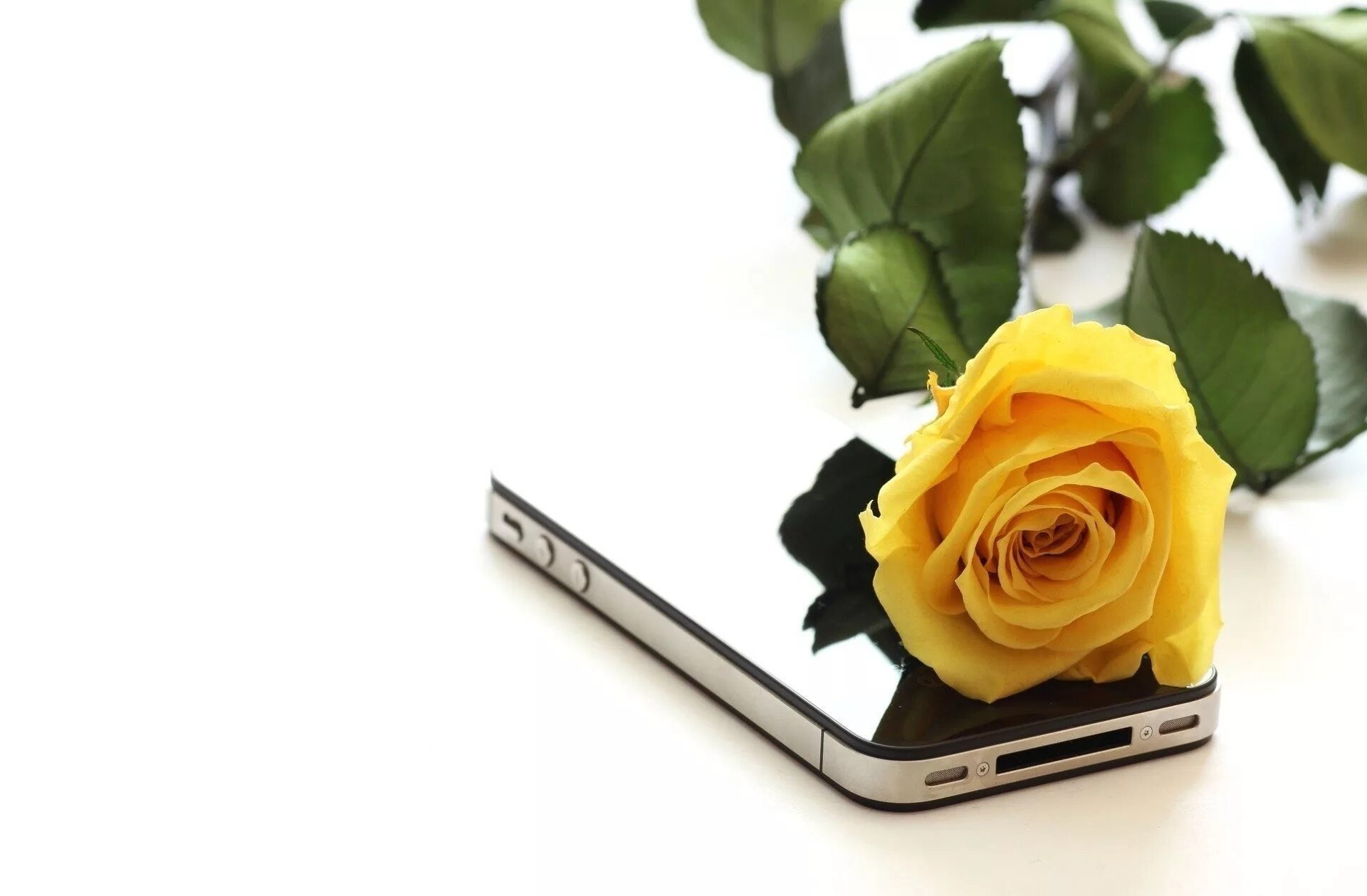 С днем мобильного телефона картинки с надписями. Цветы и мобильник. Цветы лежат. Сотовый телефон и цветы.