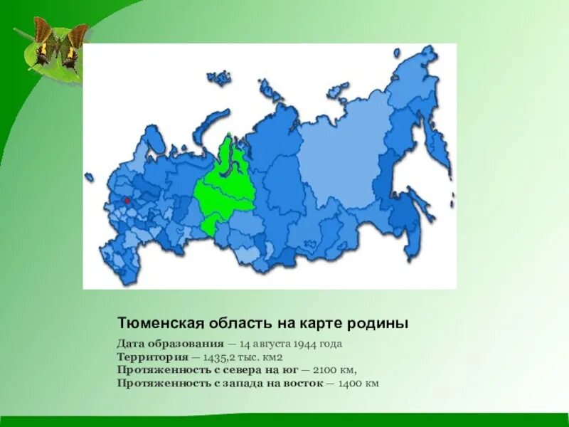 Тюменская обл на карте РФ. Тюменская область на карте России. Тюменская область на карте Росси. Тюменская область на карте России с границами.