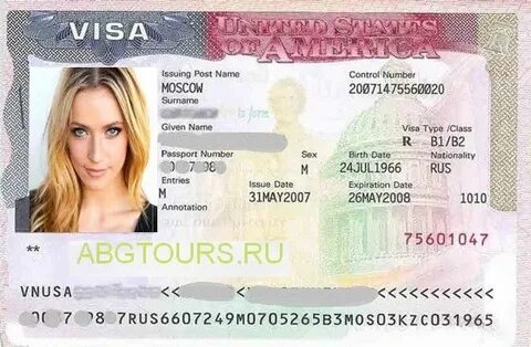 Виза в1