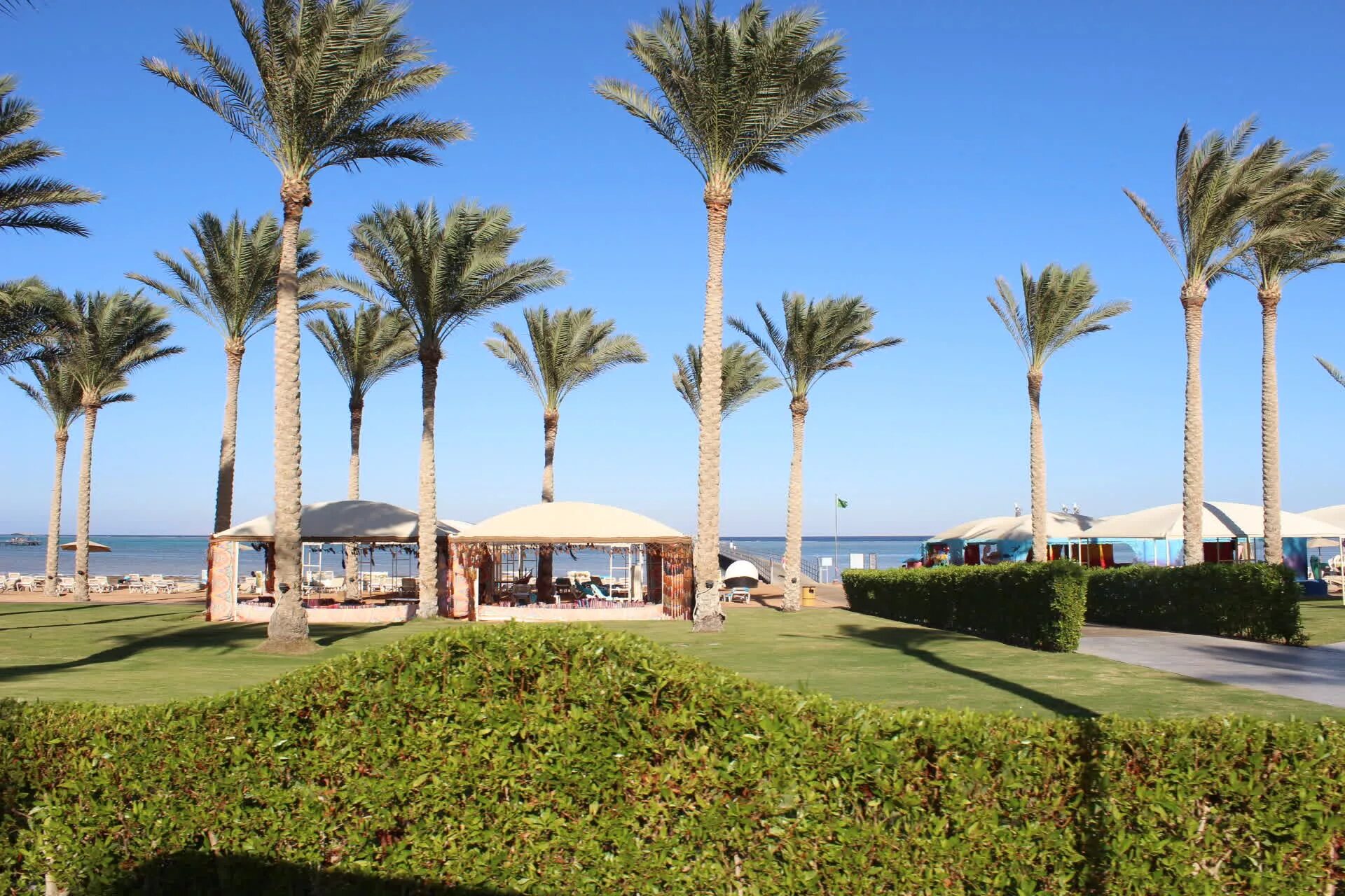 Cyrene sharm 4 шарм эль шейх. Crystal cyrene 4 шарм-эль-шейх. cyrene island hotel sharm el sheikh. cyrene island hotel (ex. aurora cyrene). 4* (шарм-эль-шейх). cyrene island hotel (ex. aurora sharm, crystal sharm, cyrene island).