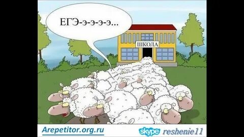 Устраивать барашек егэ