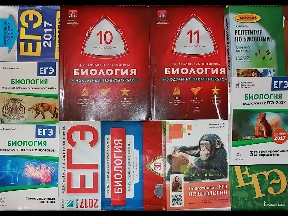 Как сдать егэ по биологии. Биология (егэ). егэ биология 100. 100 баллов егэ по биологии. подготовка к егэ по биологии с нуля.