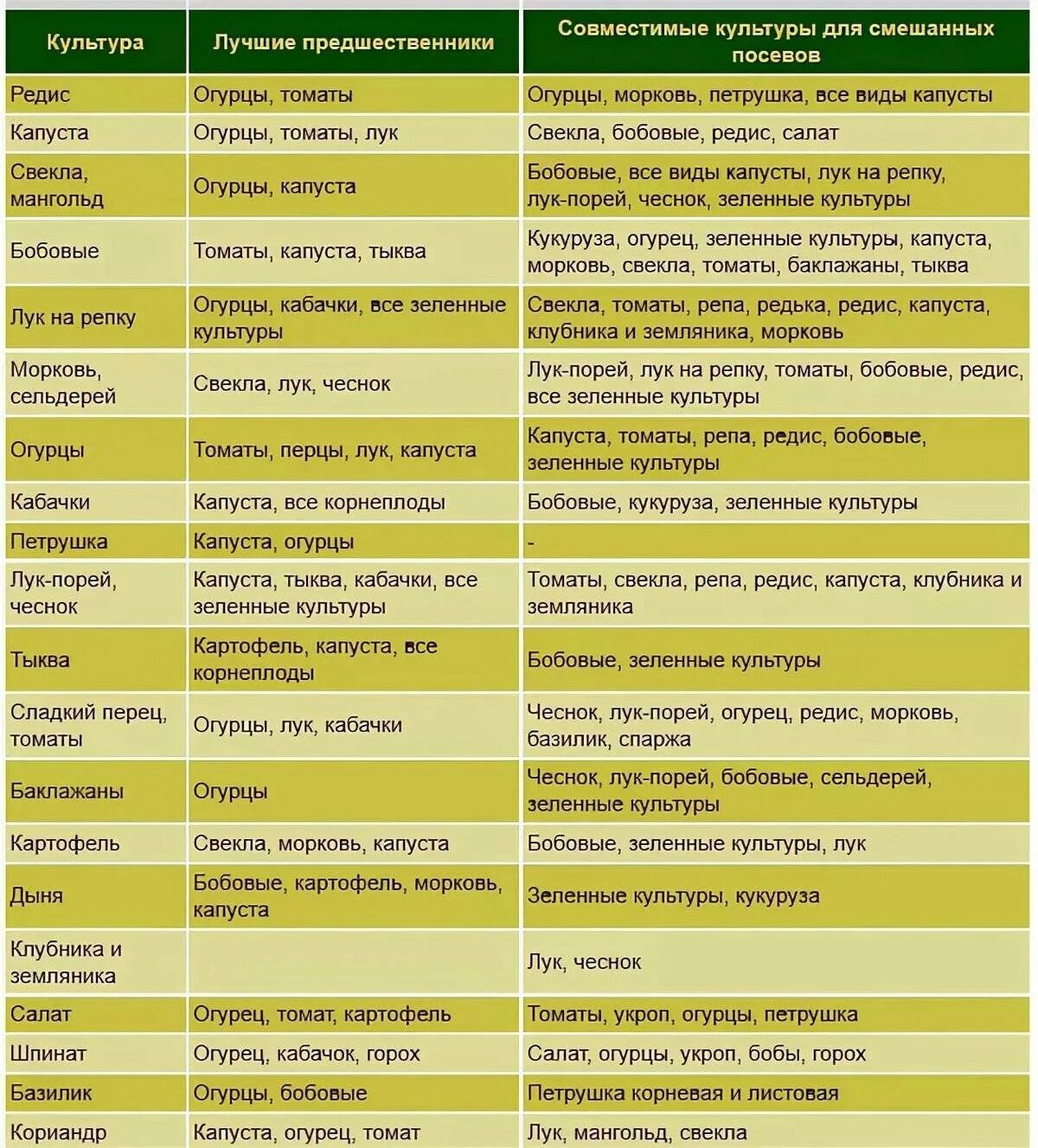 После каких растений можно сажать. Таблица совместимости на грядке овощных культур. Таблица совместимости растений на огороде соседство овощей. Совместимость посадки овощей в огороде на грядках таблица. Совместимость овощных культур при посадке на грядке таблица.