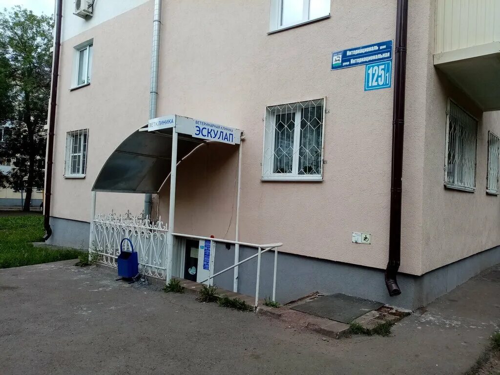 добрый доктор уфа ветеринарная клиника. гим клиник уфа. ветеринарка уфа. ветклиника на интернациональной. ветеринарка уфа.