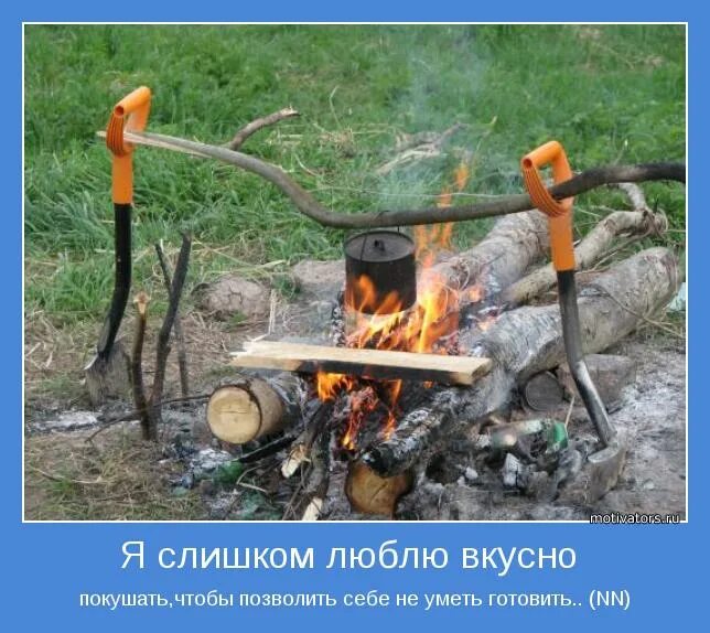 люблю вкусно жить. надежда румянцева девчата. обожравшийся кот. животное обжора. вкусно жить.