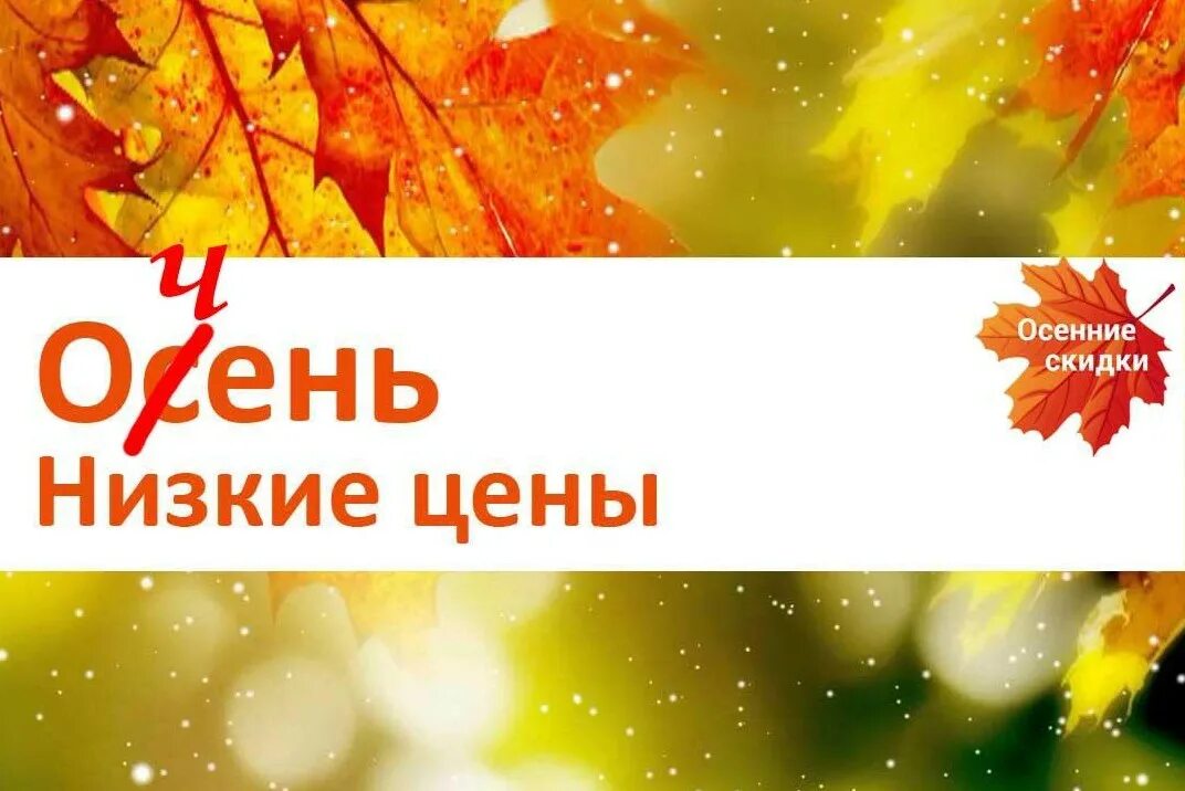 сколько стоят осенние