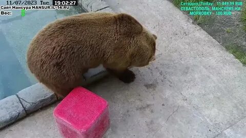Ютуб канал мансура