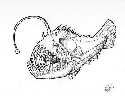 Рыба удильщик рисунок