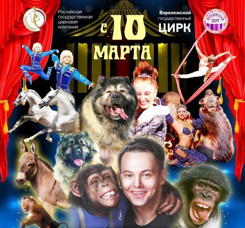 Афиша цирка в воронеже на январь 2024. Программа воронежского цирка. Цирковая афиша. Воронежский цирк афиша. Цирк 5 континентов гии эрадзе в воронеже.