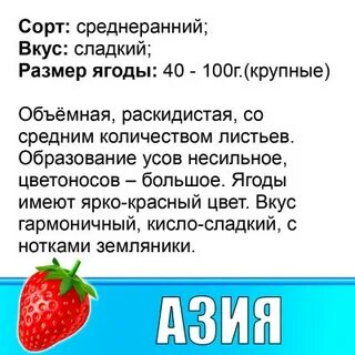 Клубника азия описание сорта и характеристика фото