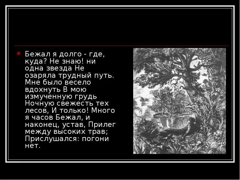 Ни одна звезда не озаряла трудный путь. Мцыри бежал я долго. Бежал я долго где. Бежал я долго где куда не знаю. Мцыри сбегает