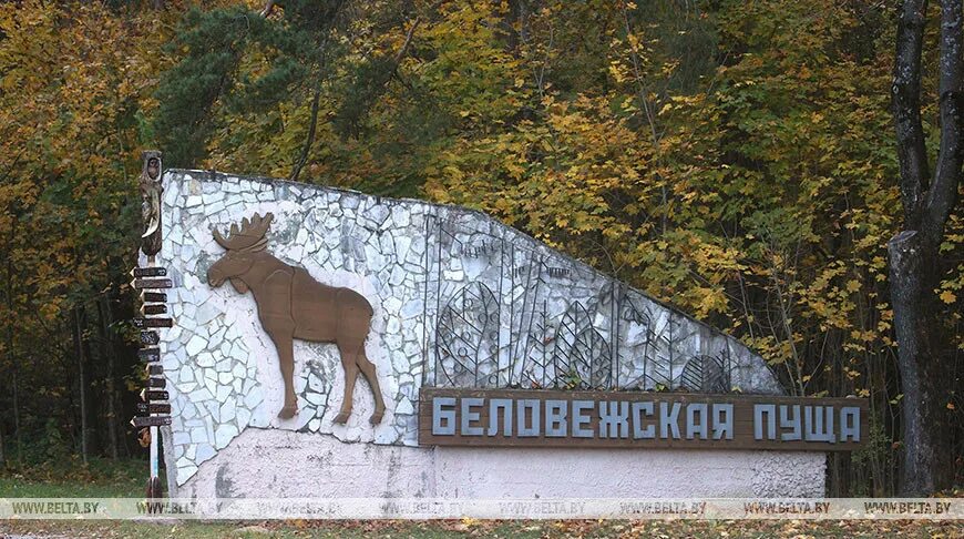 Царский тракт в беловежской пуще. Беловежская пуща р34. Беловежская пуща р34. Достопримечательности белоруссии беловежская пуща. Парк беловежская пуща.
