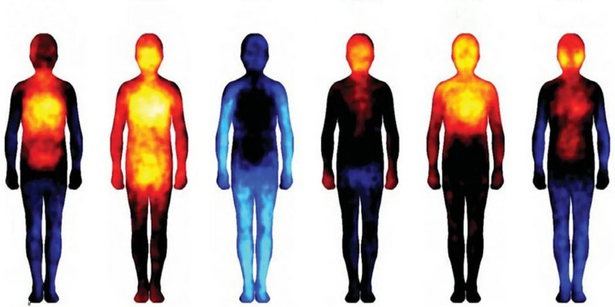 Эмоции в теле психология. Тепловая карта эмоций человека. Телесная карта эмоций человека. Тепловая карта эмоций в теле. Руки разной температуры