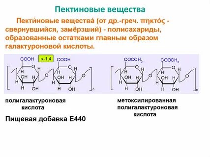 Пектиновые вещества