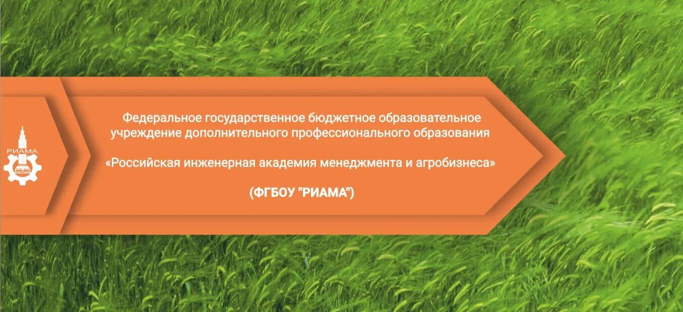 Российская инженерная академия менеджмента и агробизнеса смоленск. Академия менеджмента и агробизнеса спбгау. Академия менеджмента. Креатив академия менеджмента. Российская менеджмент академия.